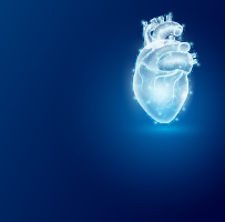 Kalp ve Damar Cerrahisi